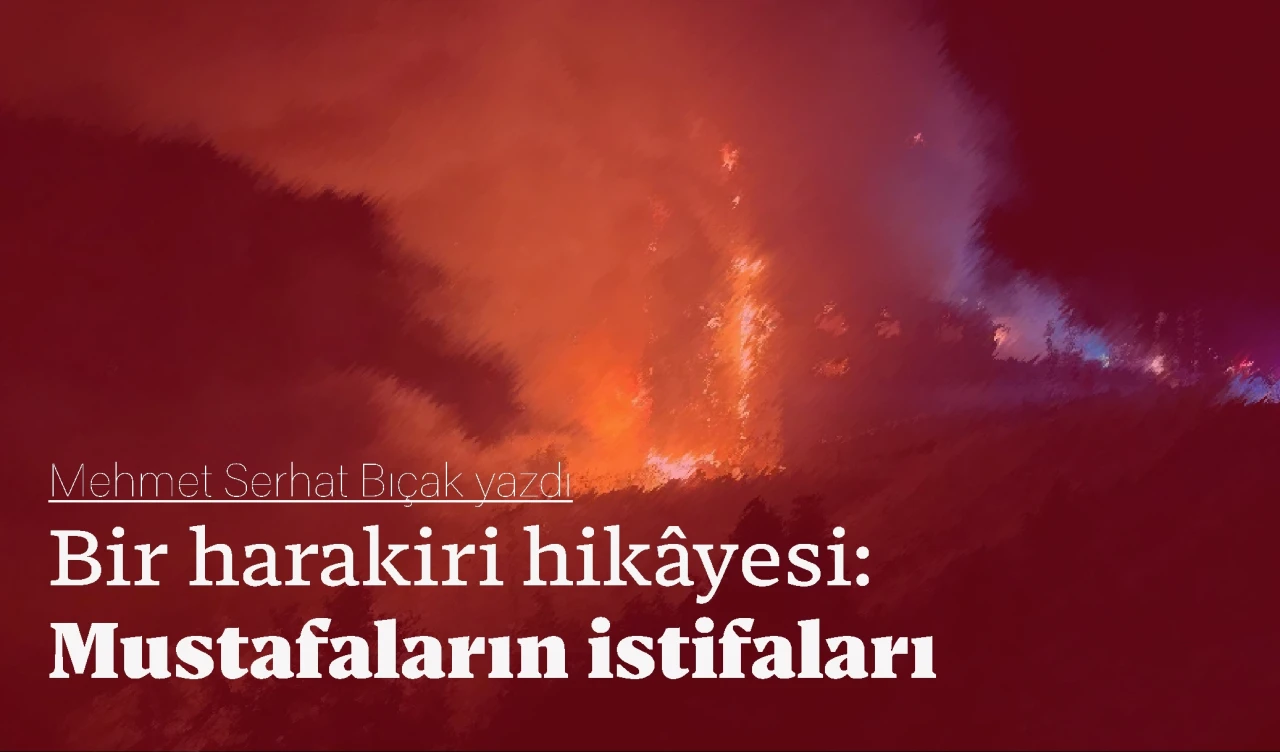 Bir harakiri hikâyesi: Mustafaların istifaları