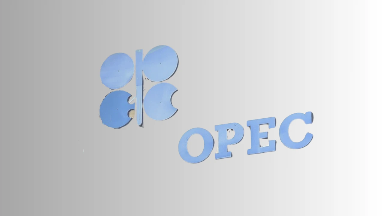 OPEC'in şubat ayındaki ham petrol üretimi bir önceki aya oranla yaklaşık %0,58 arttı