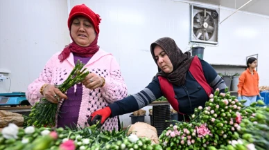 Türkiye, 2024 yılında 80 ülkeye  çiçek ihracatı yaptı