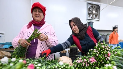 Türkiye, 2024 yılında 80 ülkeye  çiçek ihracatı yaptı